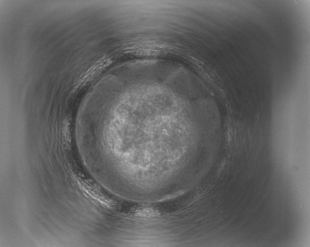 X0000085800258200703301506