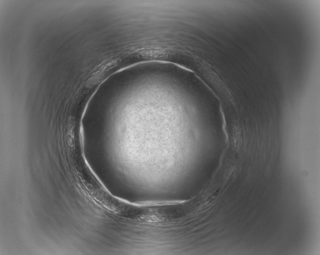 X0000085800259200703301506