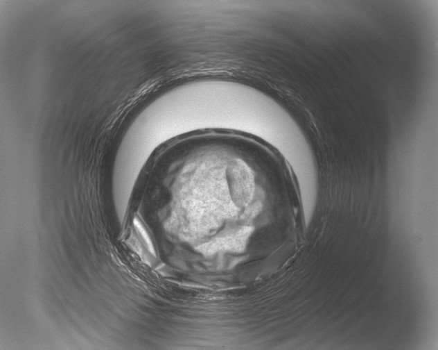 X0000085800260200703301506