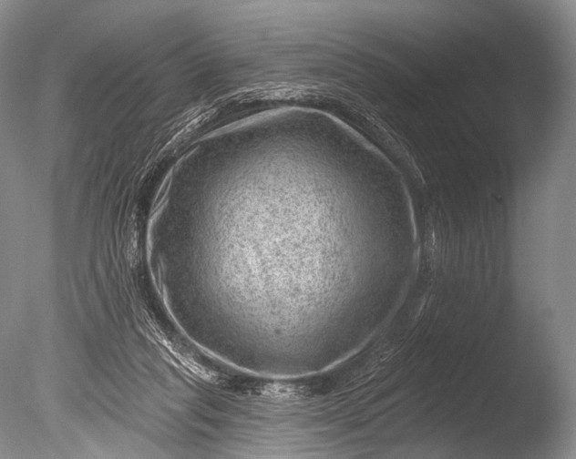 X0000085800261200703301506