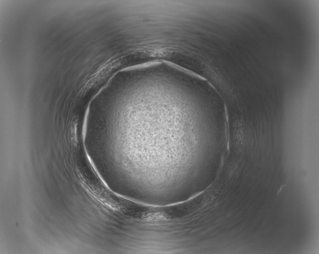 X0000085800262200703301506