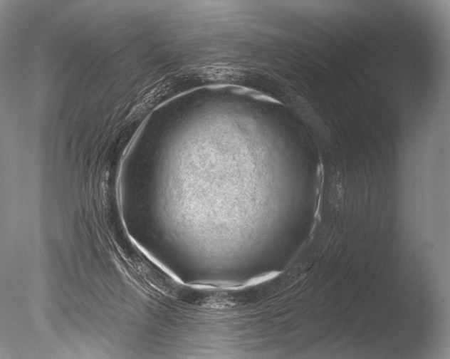 X0000085800263200703301506