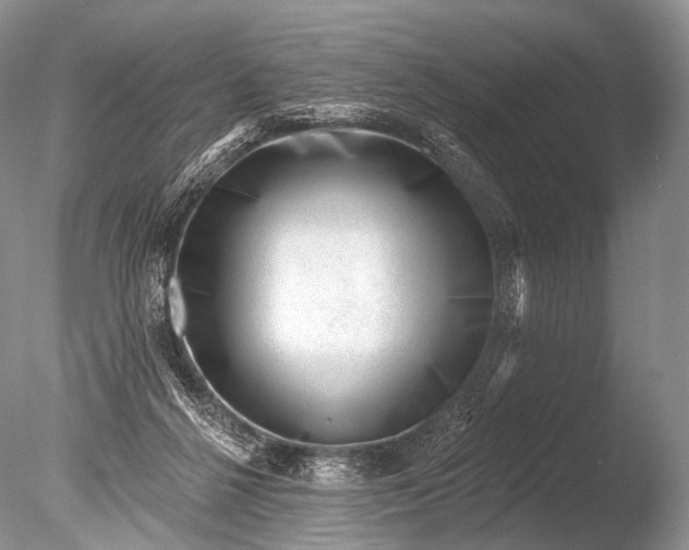 X0000085800264200703301506