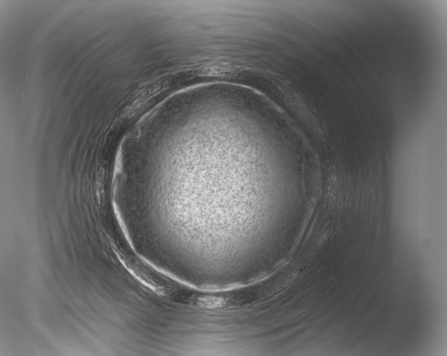 X0000085800265200703301506