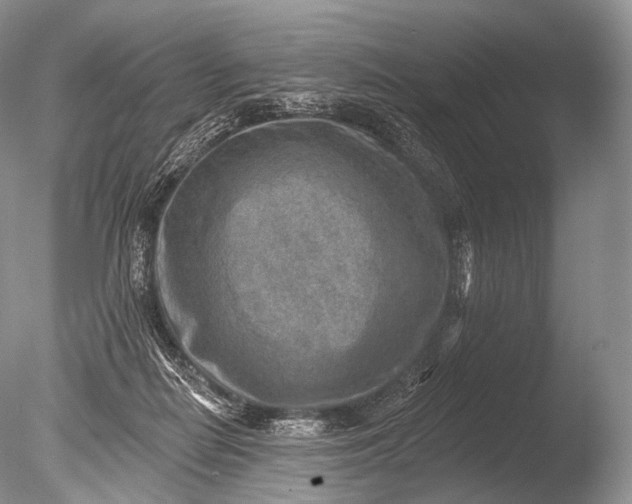 X0000085800266200703301506