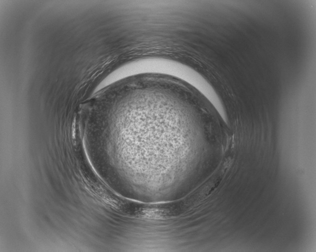 X0000085800268200703301506