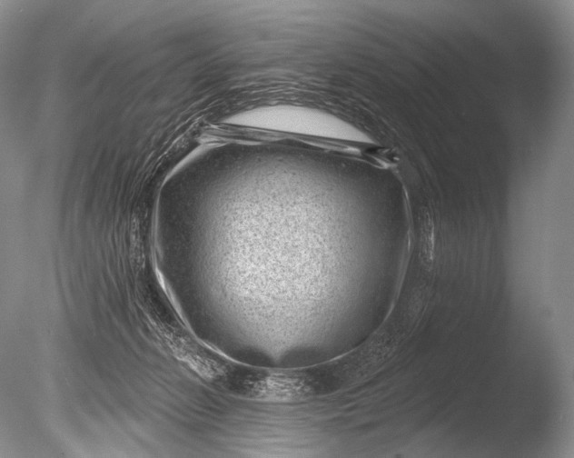 X0000085800270200703301506