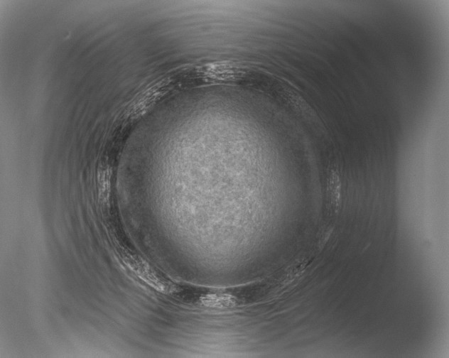 X0000085800271200703301506