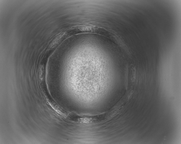 X0000085800273200703301506