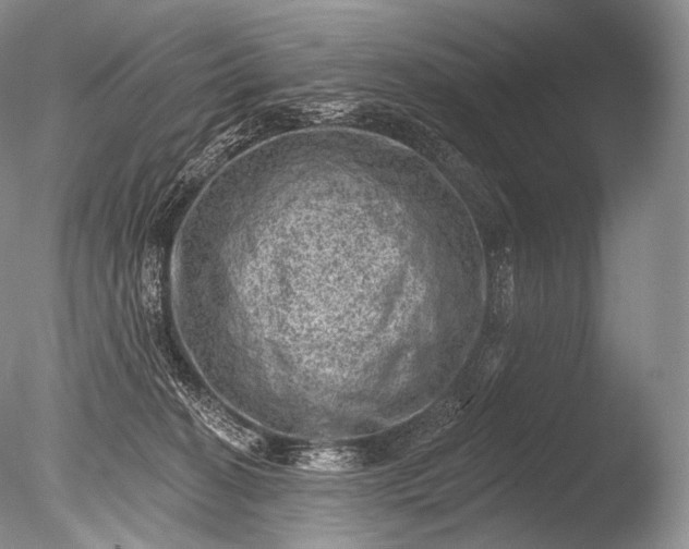 X0000085800274200703301506