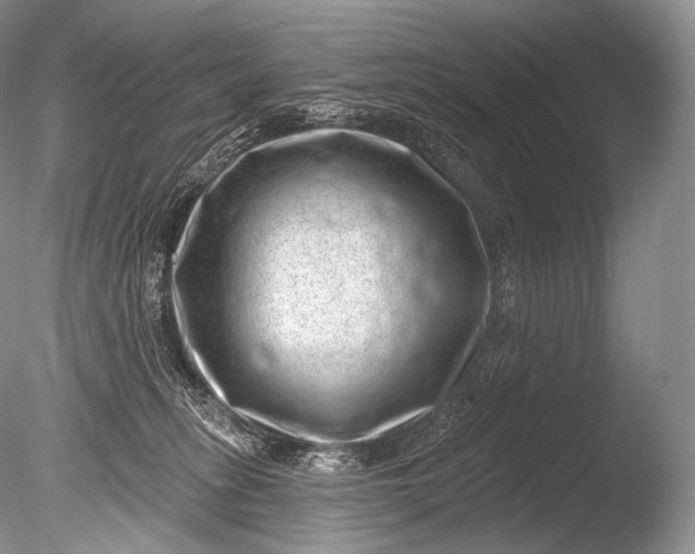 X0000085800275200703301506