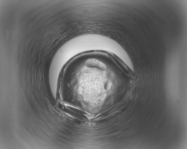 X0000085800276200703301506