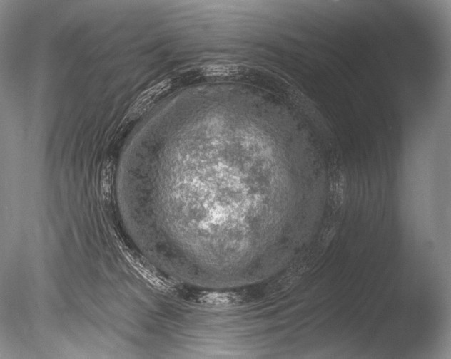 X0000085800277200703301506