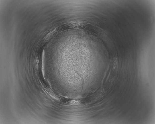 X0000085800279200703301506