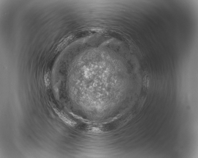 X0000085800285200703301506