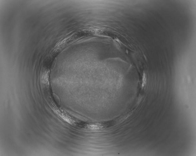 X0000085800286200703301506