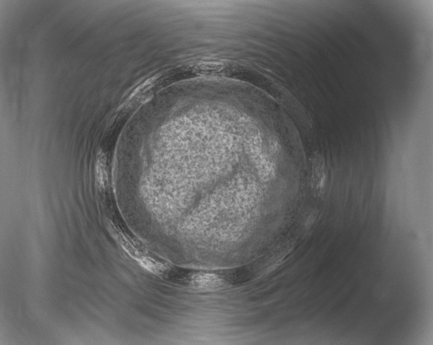 X0000085800287200703301506