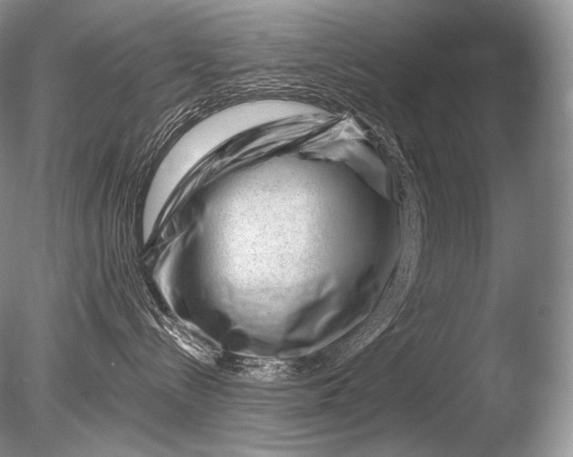 X0000085800288200703301506