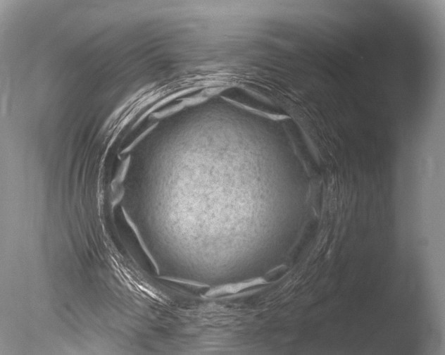 X0000085800290200703301505