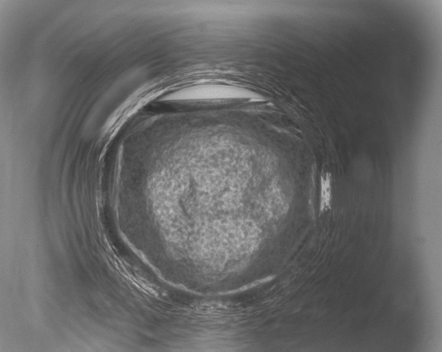 X0000085800291200703301505