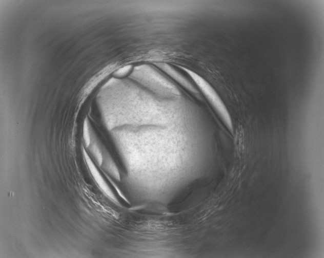 X0000085800292200703301505