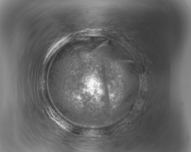 X0000085800293200703301505