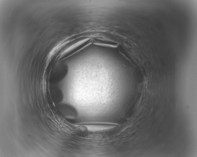 X0000085800294200703301505