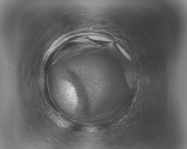 X0000085800295200703301505