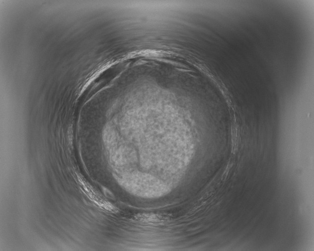 X0000085800297200703301505