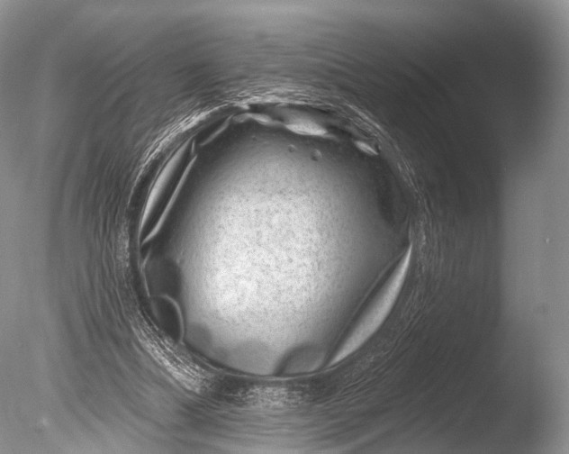 X0000085800298200703301505