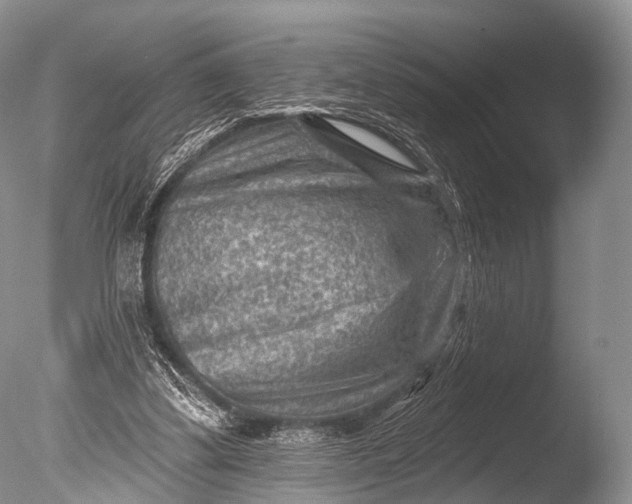 X0000085800299200703301505