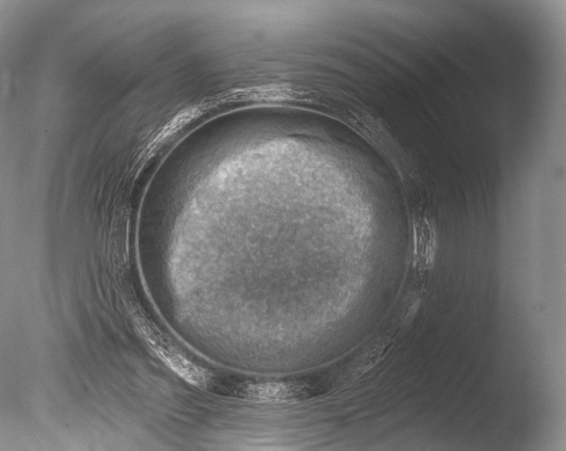 X0000085800301200703301505