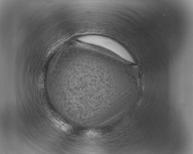 X0000085800303200703301505