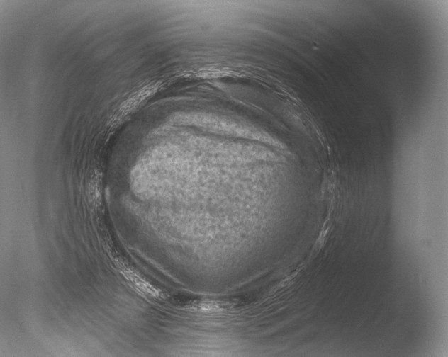 X0000085800305200703301505