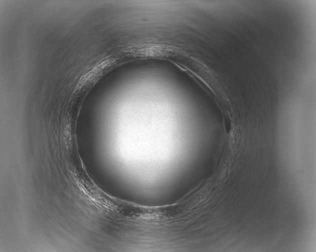 X0000085800306200703301505