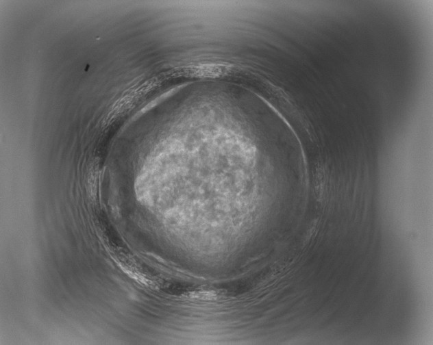 X0000085800307200703301505