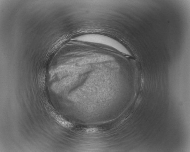 X0000085800309200703301505