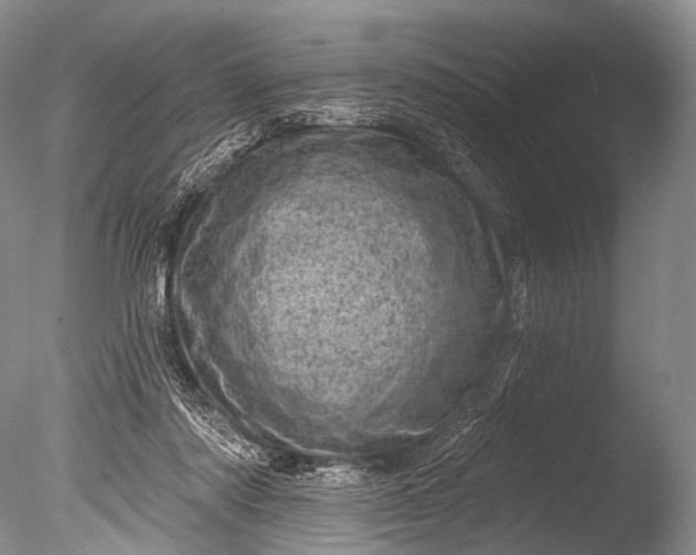 X0000085800310200703301505