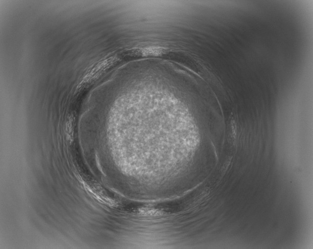 X0000085800311200703301505