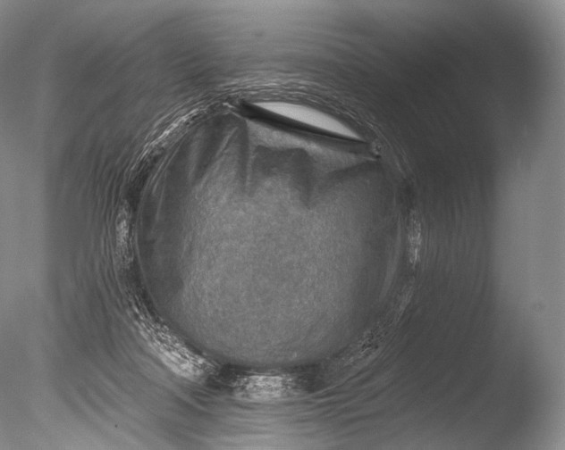 X0000085800314200703301505