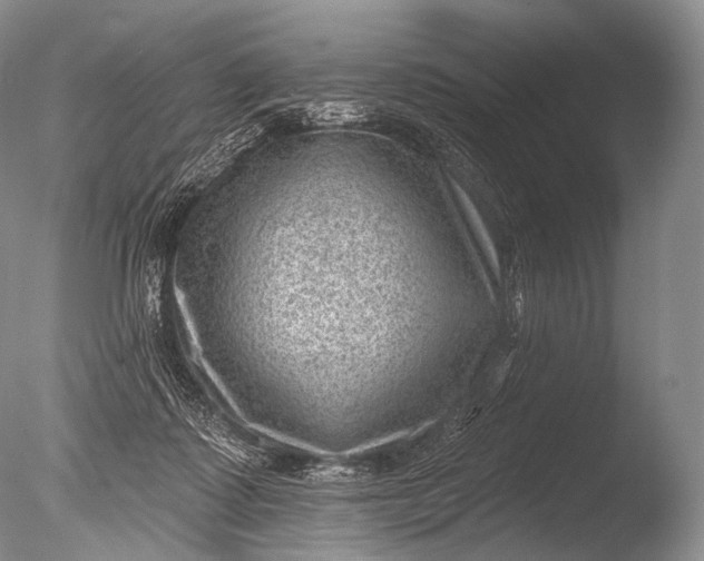 X0000085800315200703301505