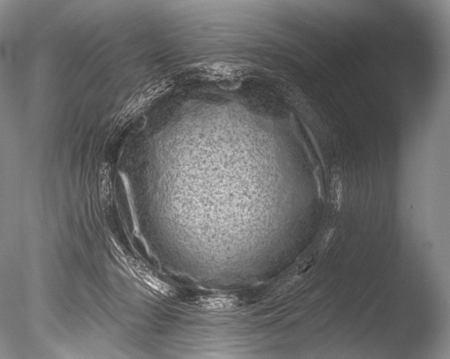 X0000085800318200703301505