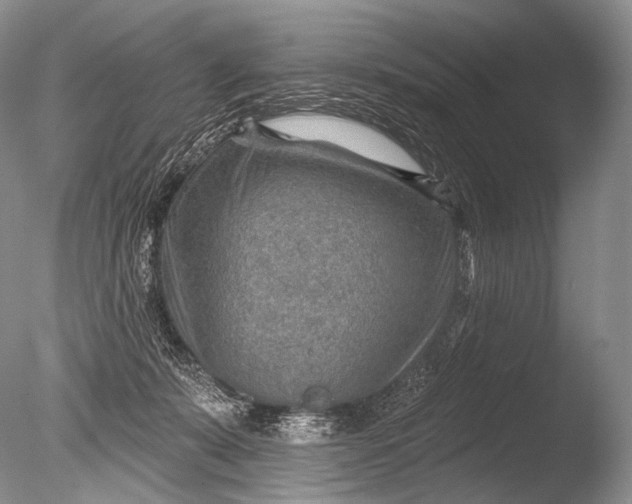 X0000085800319200703301505