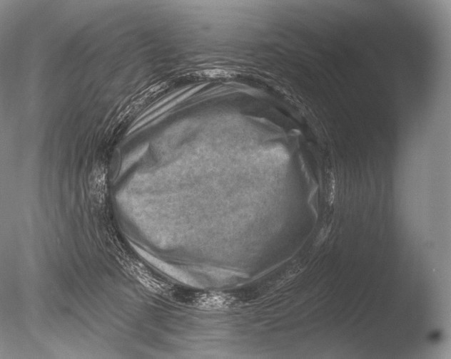 X0000085800321200703301505