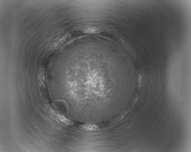 X0000085800322200703301505