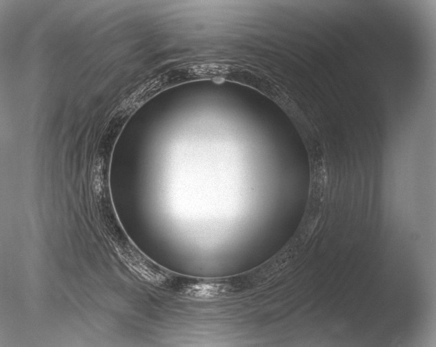 X0000085800323200703301505