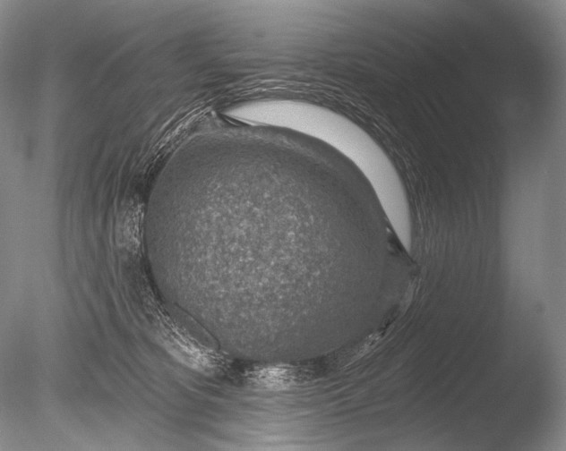 X0000085800325200703301505