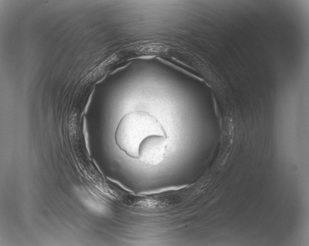 X0000085800326200703301505