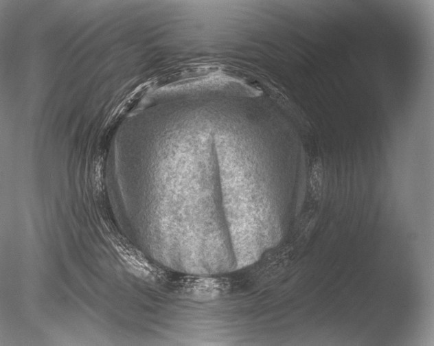 X0000085800330200703301505