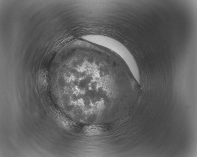 X0000085800331200703301505